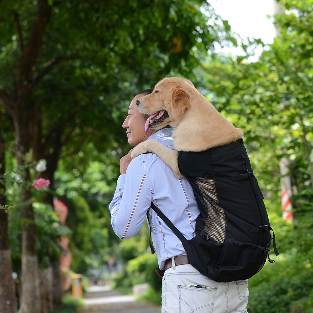 Breathable Pet Backpack – Safe, Comfy Travel for Pets