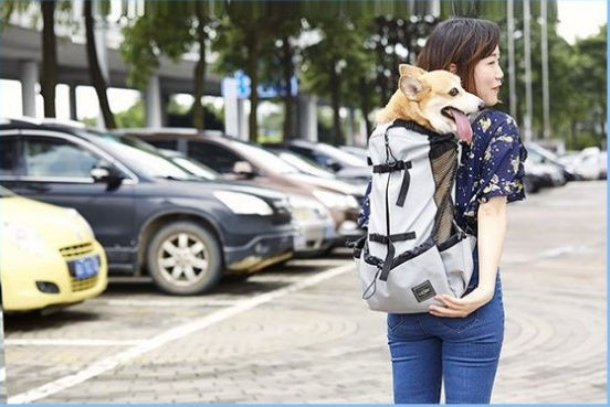 Breathable Pet Backpack – Safe, Comfy Travel for Pets