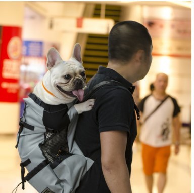 Breathable Pet Backpack – Safe, Comfy Travel for Pets