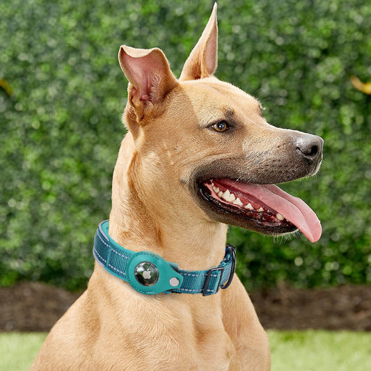 Smart GPS Pet Collar – Keep Your Buddy Safe