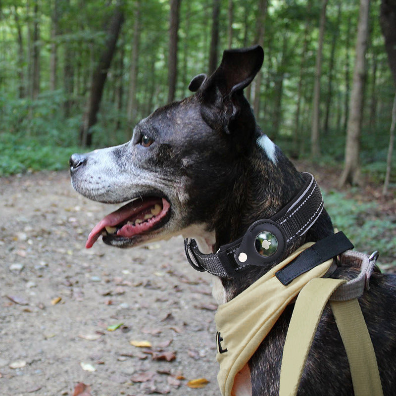 Smart GPS Pet Collar – Keep Your Buddy Safe