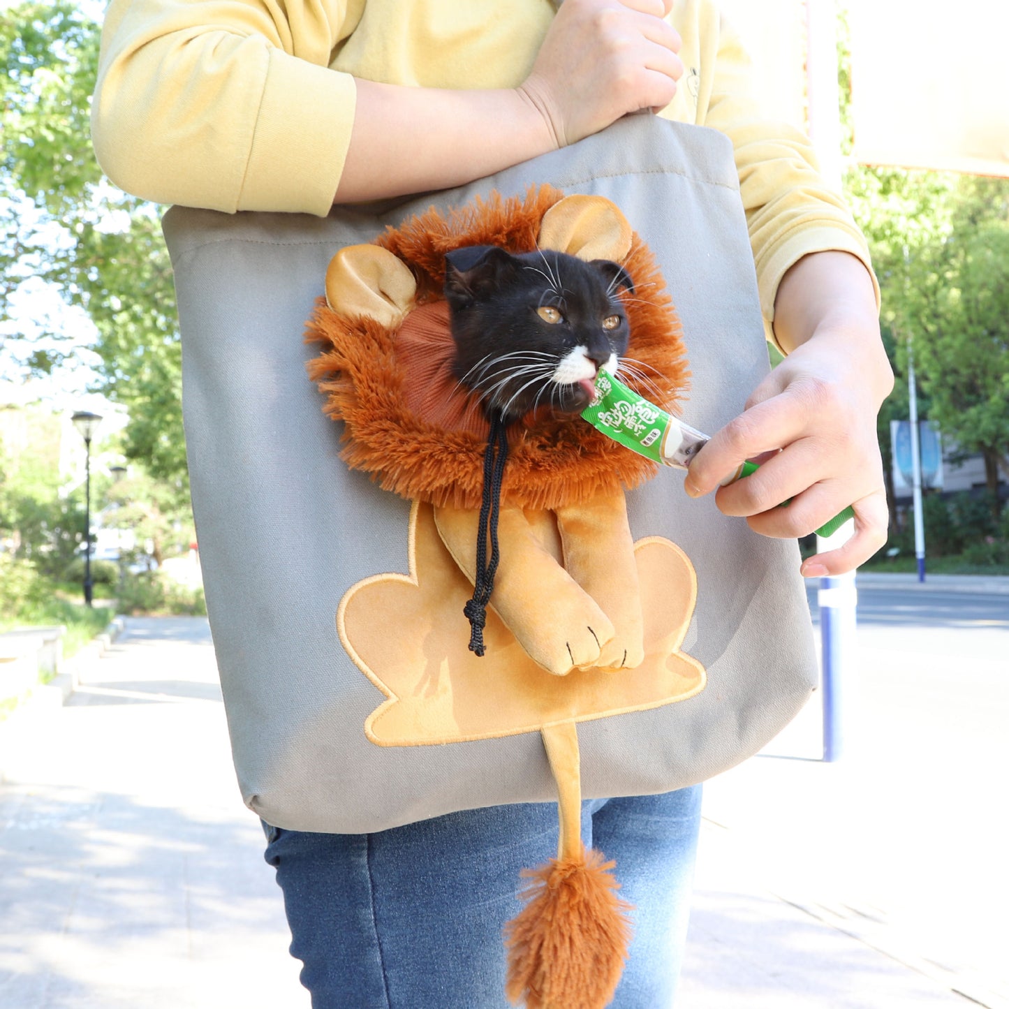 Cute Pet Carrier Bag – Safe & Comfy Travel