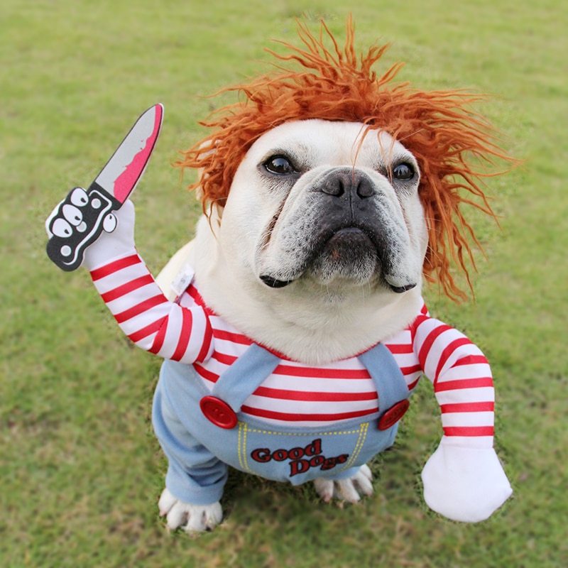 Funny Pet Halloween Outfit ,  Dress Up Your Pup